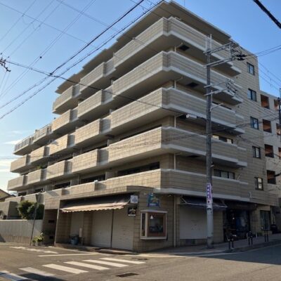 (外観) (外観)