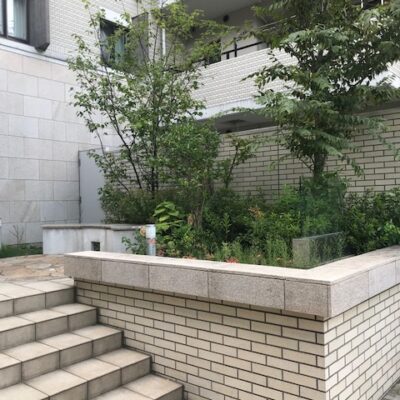 (外観)